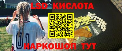 стаф Гай