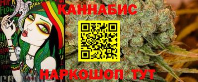 стаф Гай