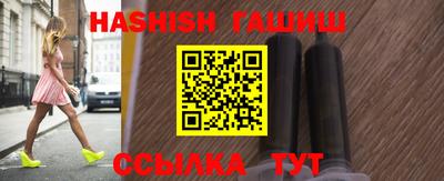 стаф Гай