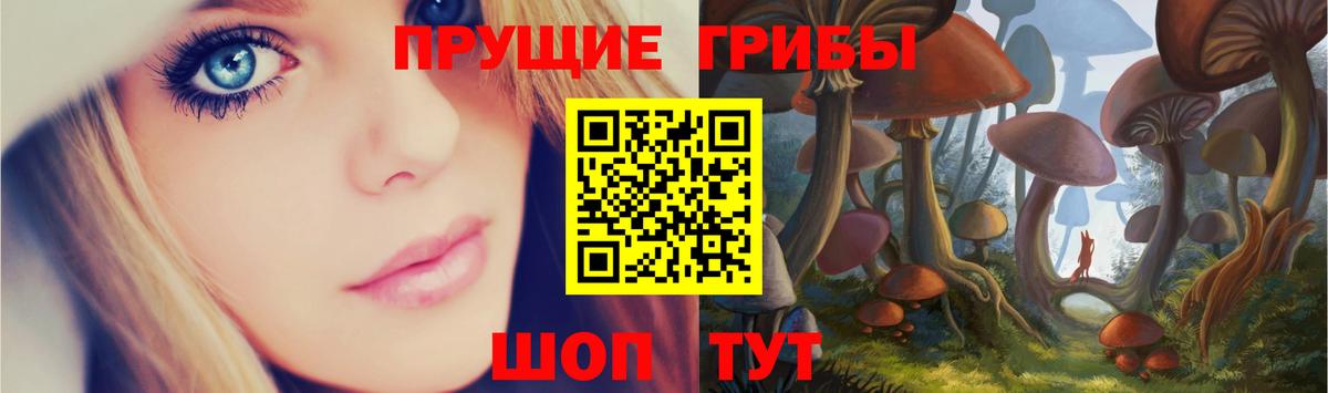 где можно купить наркотик  Псилоцибиновые грибы Cubensis  Вход с VPN  Муравленко 